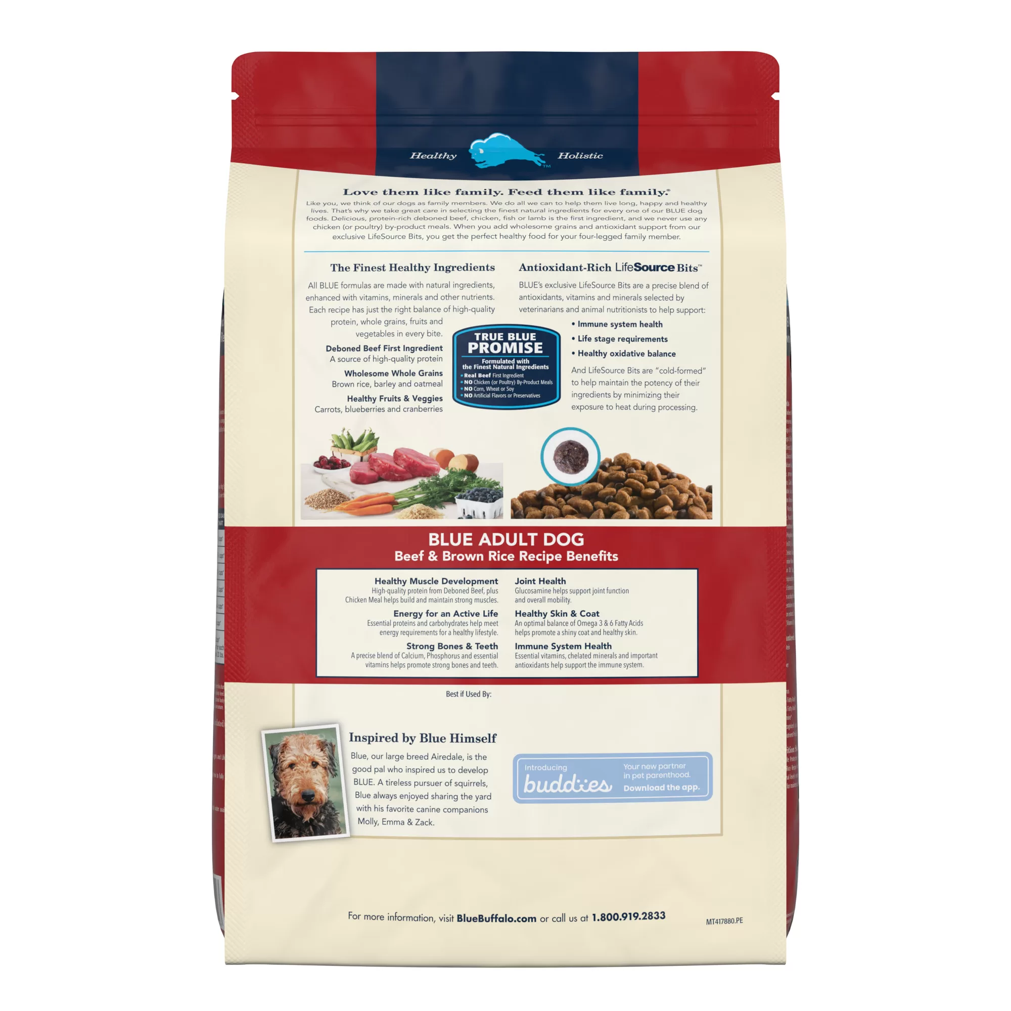 Blue Buffalo Blue Life Protection Formula Natural Adult Beef and Brown Rice Dry Dog Food, 30 lbs.