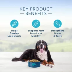 Blue Buffalo Life Protection Formula Natural Adult Large Breed Chicken and Brown Rice Dry Dog Food, 34 lbs.