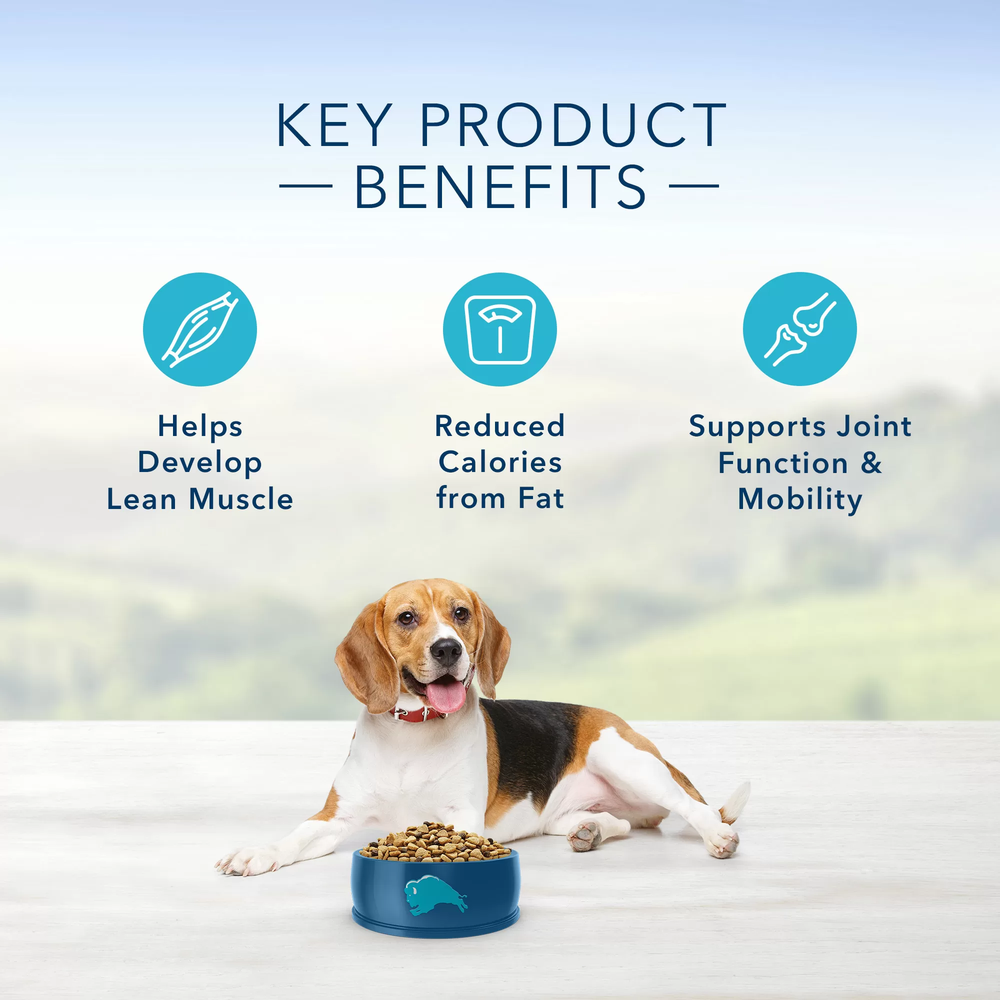 Blue Buffalo Life Protection Formula Natural Adult Healthy Weight Chicken and Brown Rice Dry Dog Food, 34 lbs.