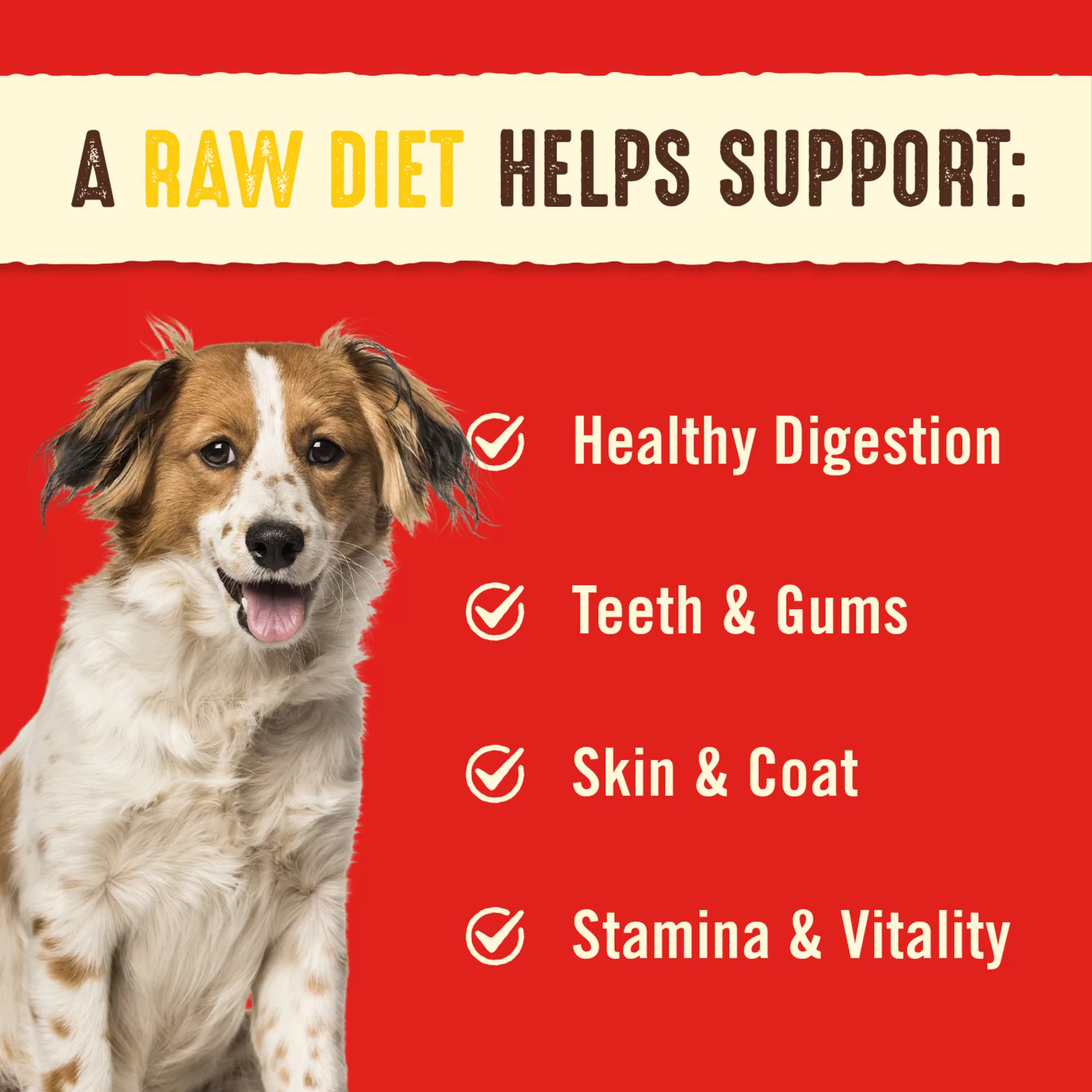 Stella & Chewy's Freeze Dried Raw Dinner Patties High Protein Chewy's Chicken Recipe Dry Dog Food, 25 oz.