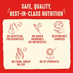 Stella & Chewy's Freeze Dried Raw Dinner Patties High Protein Chewy's Chicken Recipe Dry Dog Food, 25 oz.