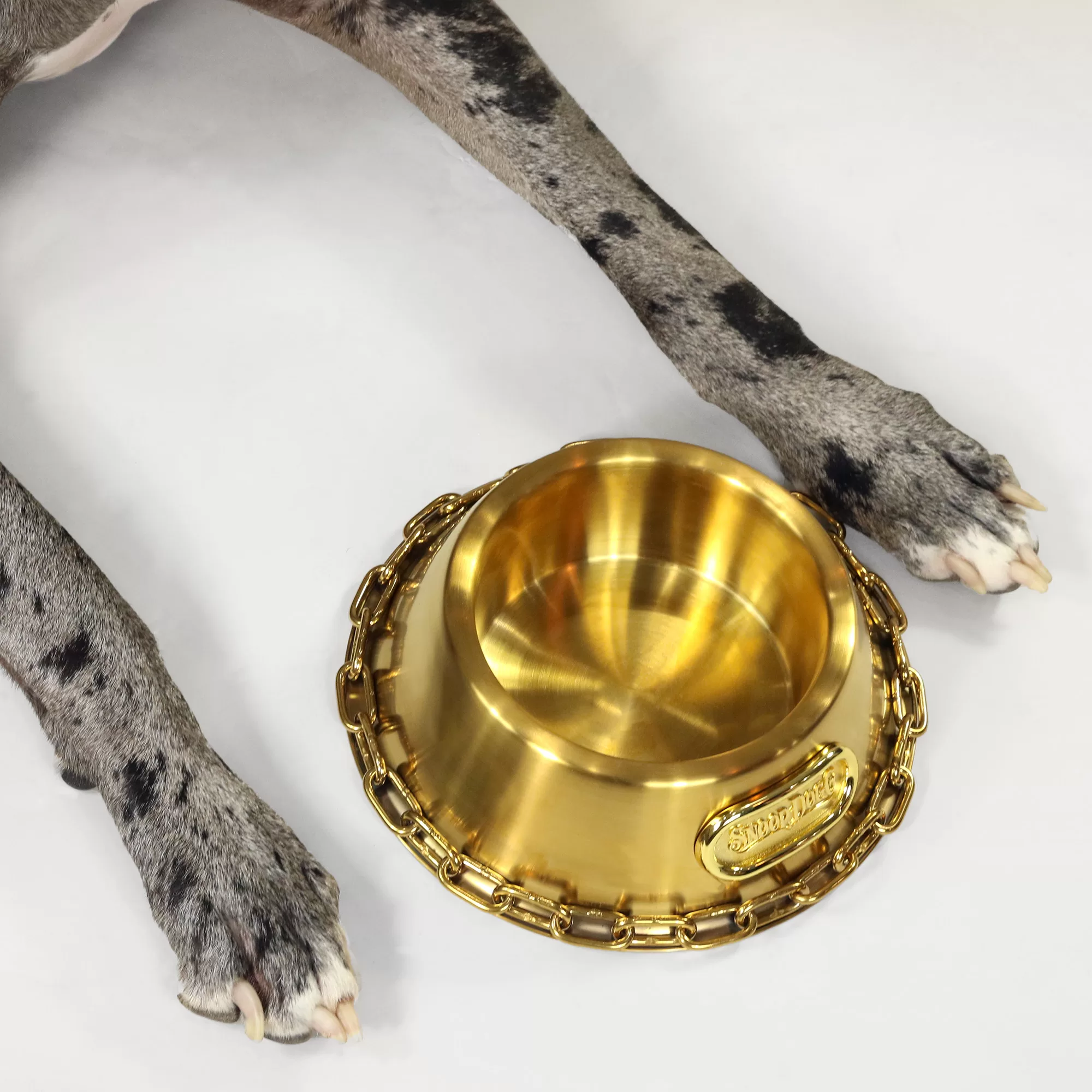 Snoop Doggie Doggs Off the Chain Deluxe Gold Pet Bowl, 1 Cup, Small