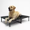 Lucky Dog Rectangular Gray Polyester Orthopedic Dog Bed (Large)