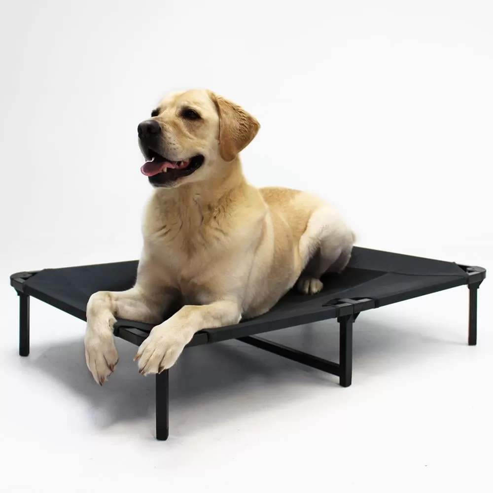 Lucky Dog Rectangular Gray Polyester Orthopedic Dog Bed (Large)