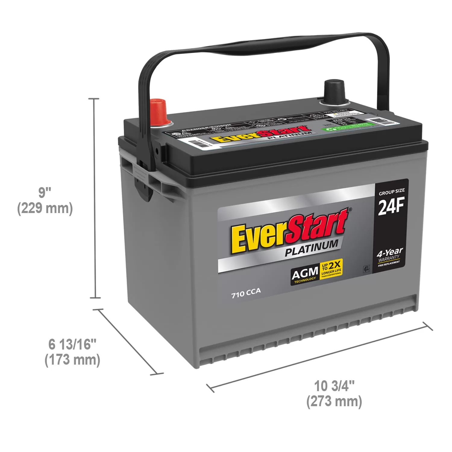 EverStart Platinum BOXED AGM Battery, Group Size 24F 12V, 710 CCA