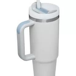Stanley Quencher 30-fl oz Stainless Steel Insulated Tumbler