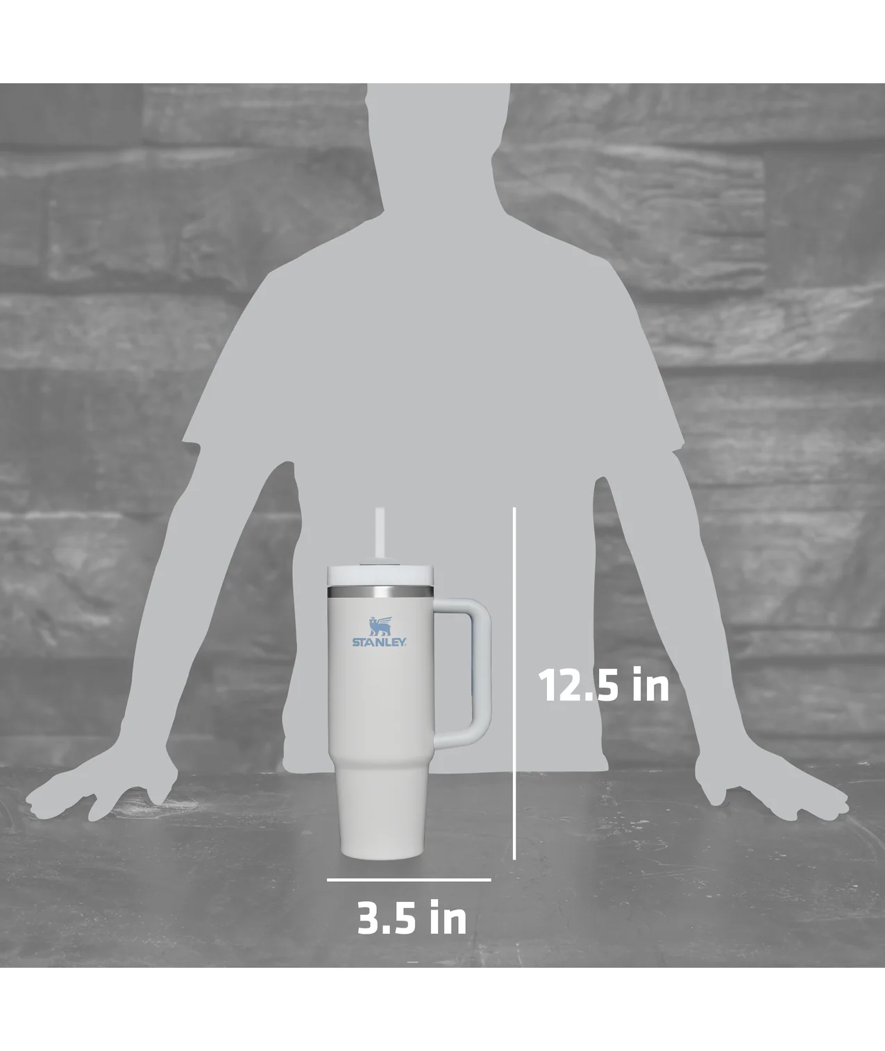 Stanley Quencher 30-fl oz Stainless Steel Insulated Tumbler