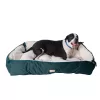 Armarkat Rectangular Laurel Green/Ivory Canvas Bolster Dog Bed (Large)