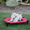 Lucky Dog Rectangular Red Polyester Orthopedic Dog Bed (Small)