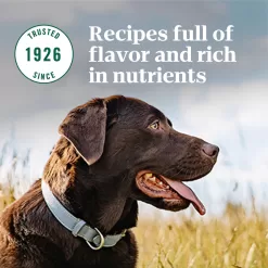 NUTRO NATURAL CHOICE Adult Dry Dog Food, Lamb & Brown Rice Recipe Dog Kibble, 30 lb. Bag