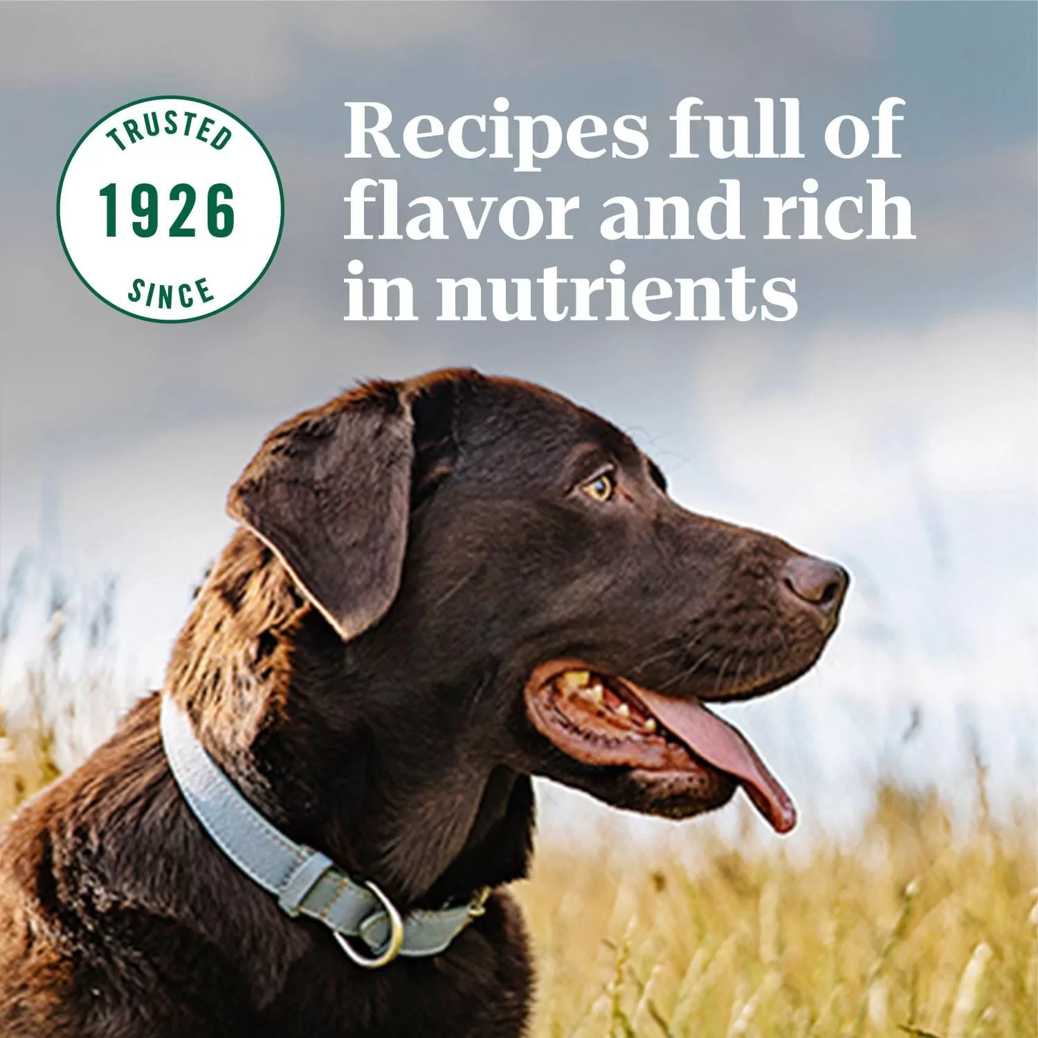 NUTRO NATURAL CHOICE Adult Dry Dog Food, Lamb & Brown Rice Recipe Dog Kibble, 30 lb. Bag