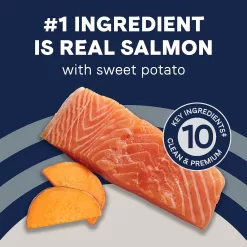 Canidae Pure Real Salmon & Sweet Potato Recipe Adult Dry Dog Food, 12 lbs.