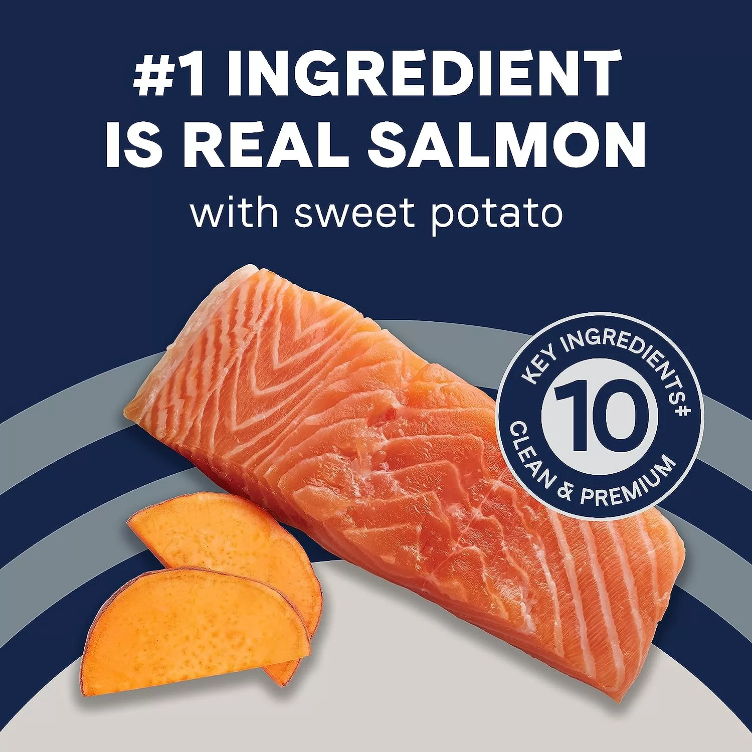 Canidae Pure Real Salmon & Sweet Potato Recipe Adult Dry Dog Food, 22 lbs.