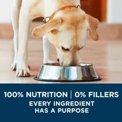 Purina ONE Plus Large Breed Adult Dog Food Dry Formula - 40 lb. Bag