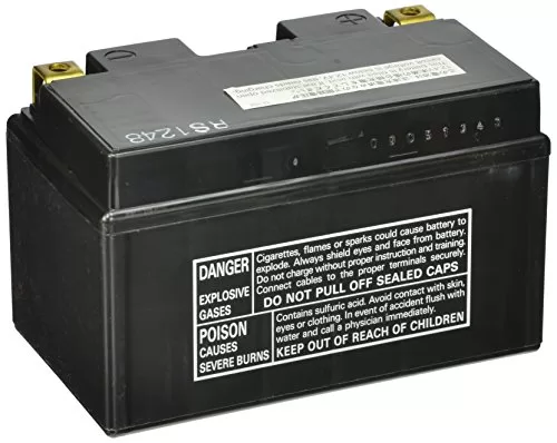 Yuasa YTZ10S Battery