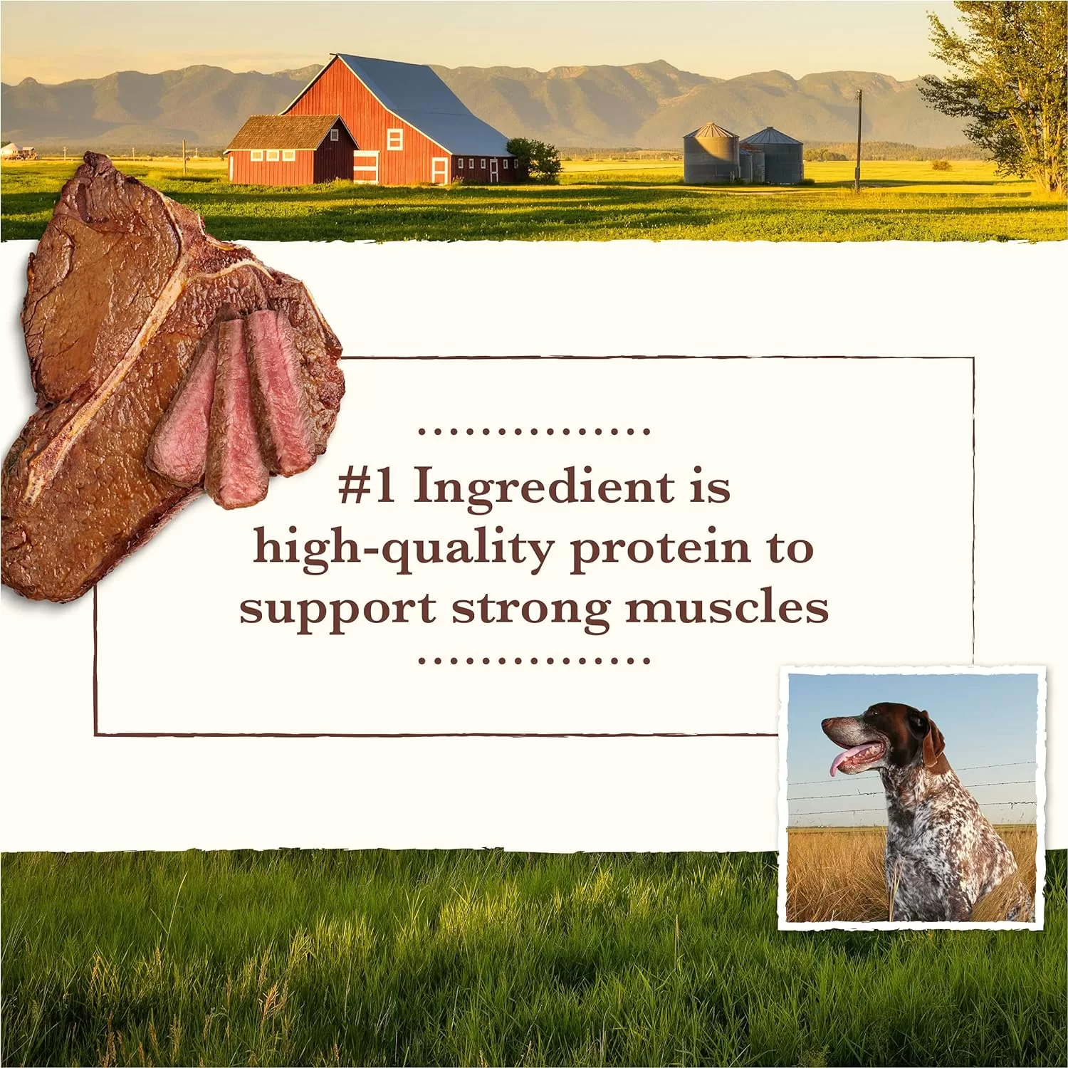 Whole Earth Farms Grain Free Pork, Beef and Lamb Recipe Dry Dog Food, 25 lbs.