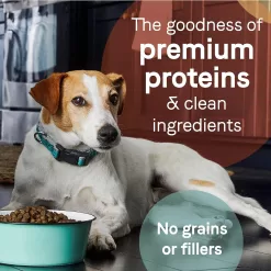 Canidae Pure Real Salmon & Sweet Potato Recipe Adult Dry Dog Food, 22 lbs.