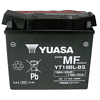 Yuasa Yt19bl Bs , Maintenance Free