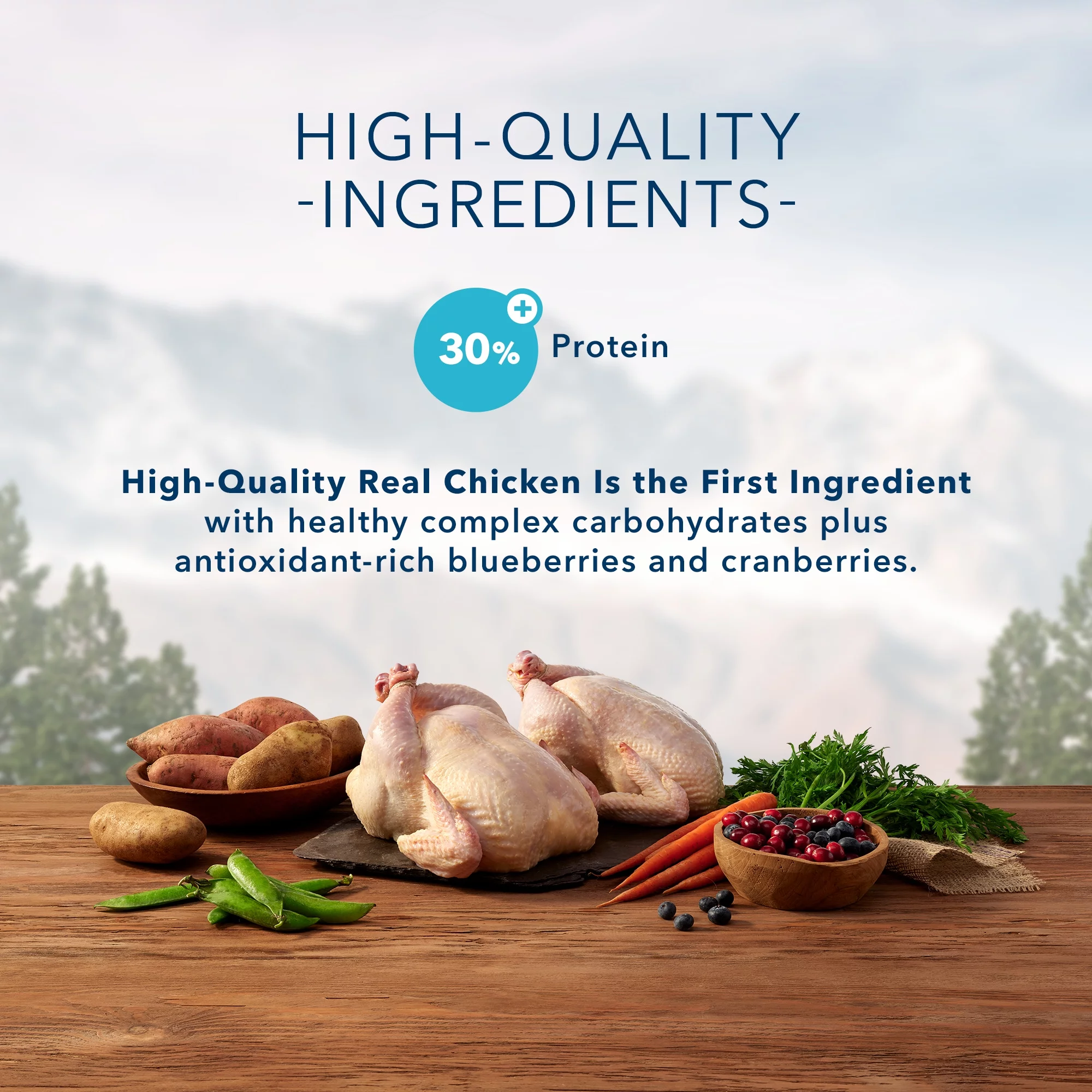 Blue Buffalo Blue Wilderness Natural Adult High Protein Chicken Dry Cat Food, 12 lbs.