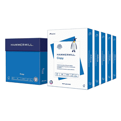 Hammermill Printer Paper, 20 lb Copy Paper, 8.5 x 11 - 5 Ream (2,500 Sheets)