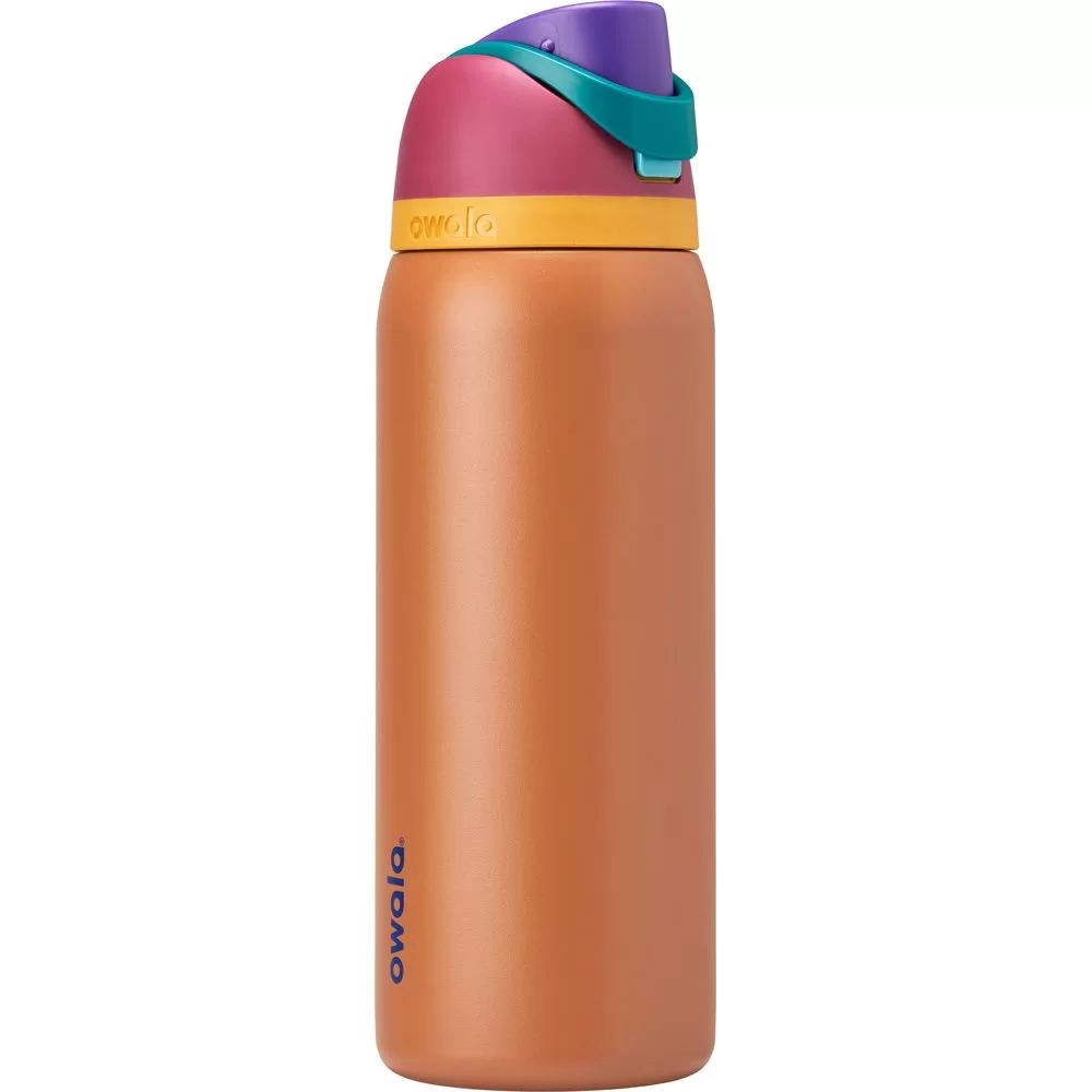 Owala 32 oz. FreeSip Stainless Steel Water Bottle - Gemstone Chic