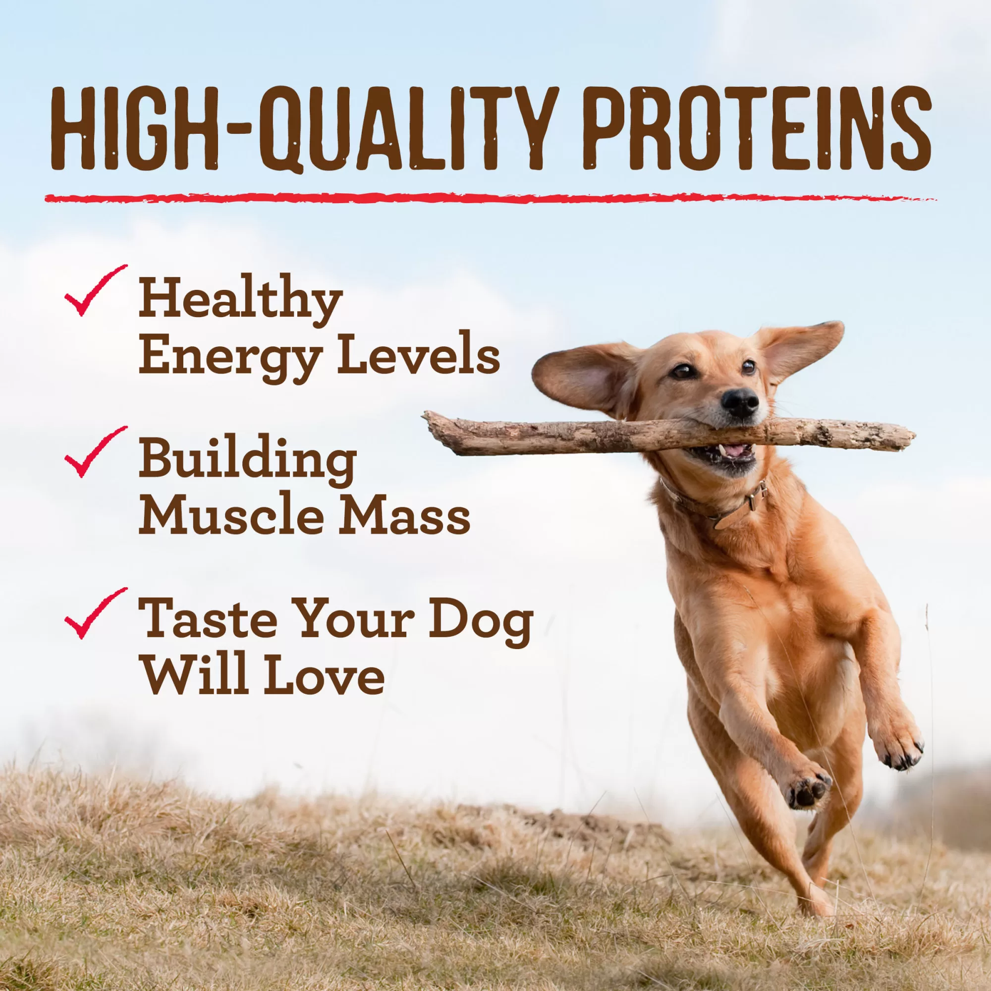 Merrick Grain Free Chunky Big Texas Steak Tips Dinner Canned Dog Food, 12.7 oz., Case of 12