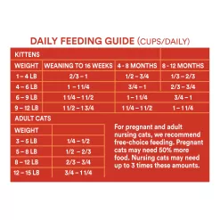 WholeHearted Grain Free Chicken Formula Dry Cat Food, 12 lbs.