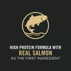 Purina Pro Plan Sensitive Skin & Stomach Salmon & Rice Formula Dry Puppy Food, 24 lbs.