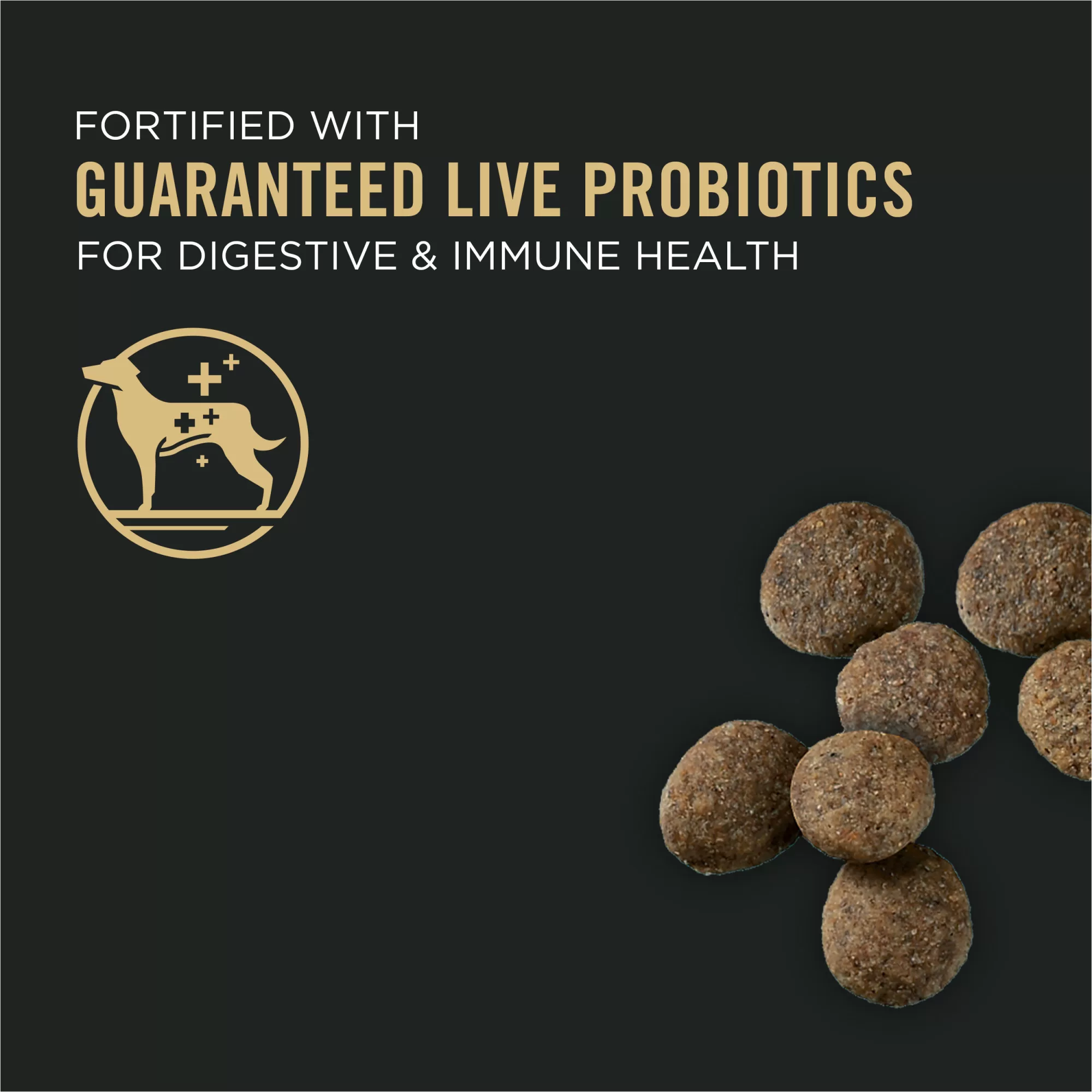 Purina Pro Plan Sensitive Skin & Stomach, Salmon & Rice Formula Large Breed Dry Puppy Food, 24 lbs.