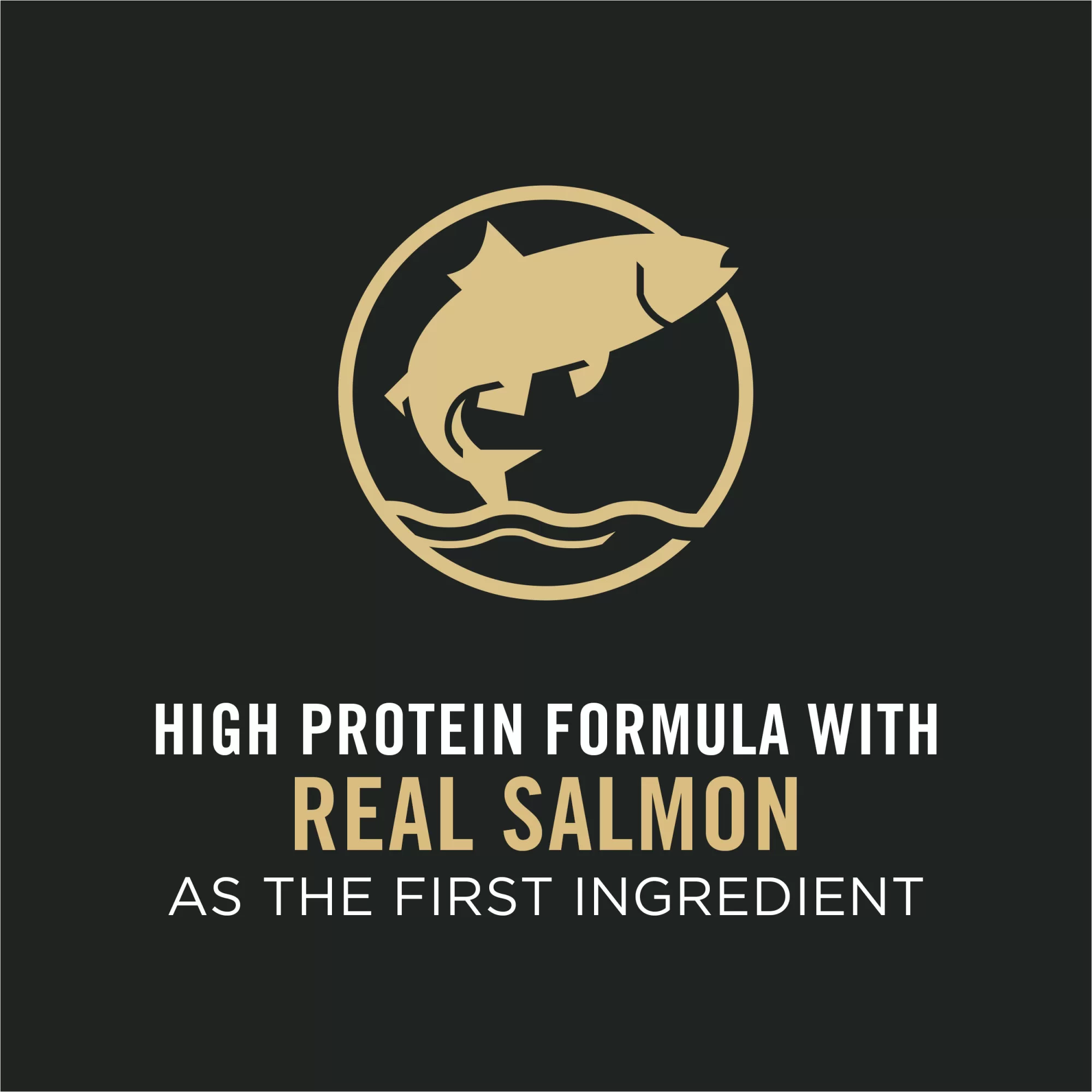 Purina Pro Plan Sensitive Skin & Stomach, Salmon & Rice Formula Large Breed Dry Puppy Food, 24 lbs.