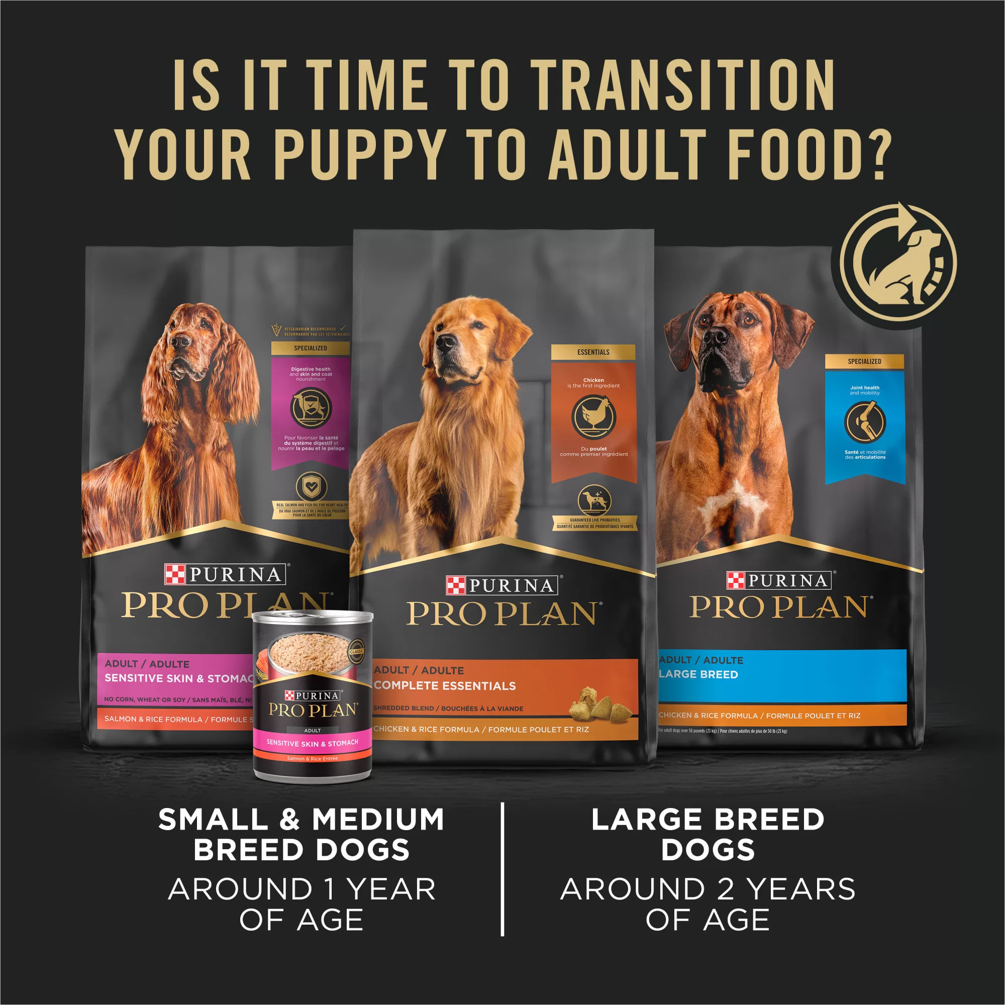 Purina Pro Plan Sensitive Skin & Stomach, Salmon & Rice Formula Large Breed Dry Puppy Food, 24 lbs.