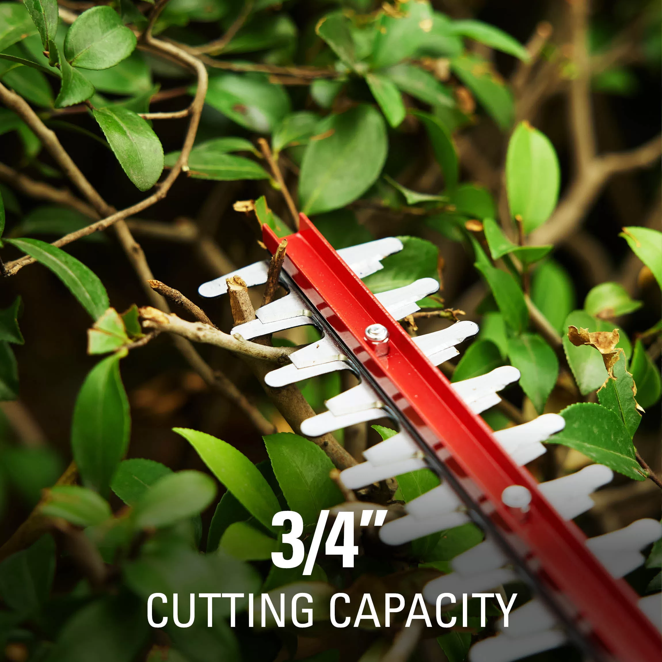 Greenworks 24" Battery Powered Hedge Trimmer