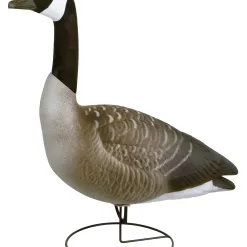 Flambeau Outdoors, 8990FBU, Storm Front, Full Body Canada Standard, Full Size, Goose Decoys, 6 Pack, 24.5 pounds