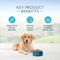 Blue Buffalo Life Protection Formula Natural Adult Dry Dog Food, Chicken and Brown Rice 34-lb