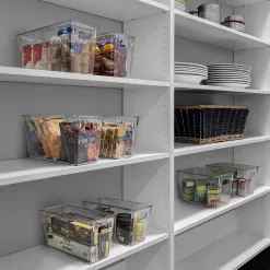 ClearSpace Plastic Storage Bins with Lids