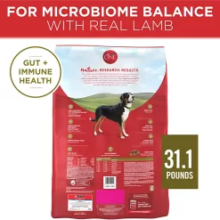Purina ONE Dry Dog Food Lamb and Rice Formula - 31.1 lb. Bag