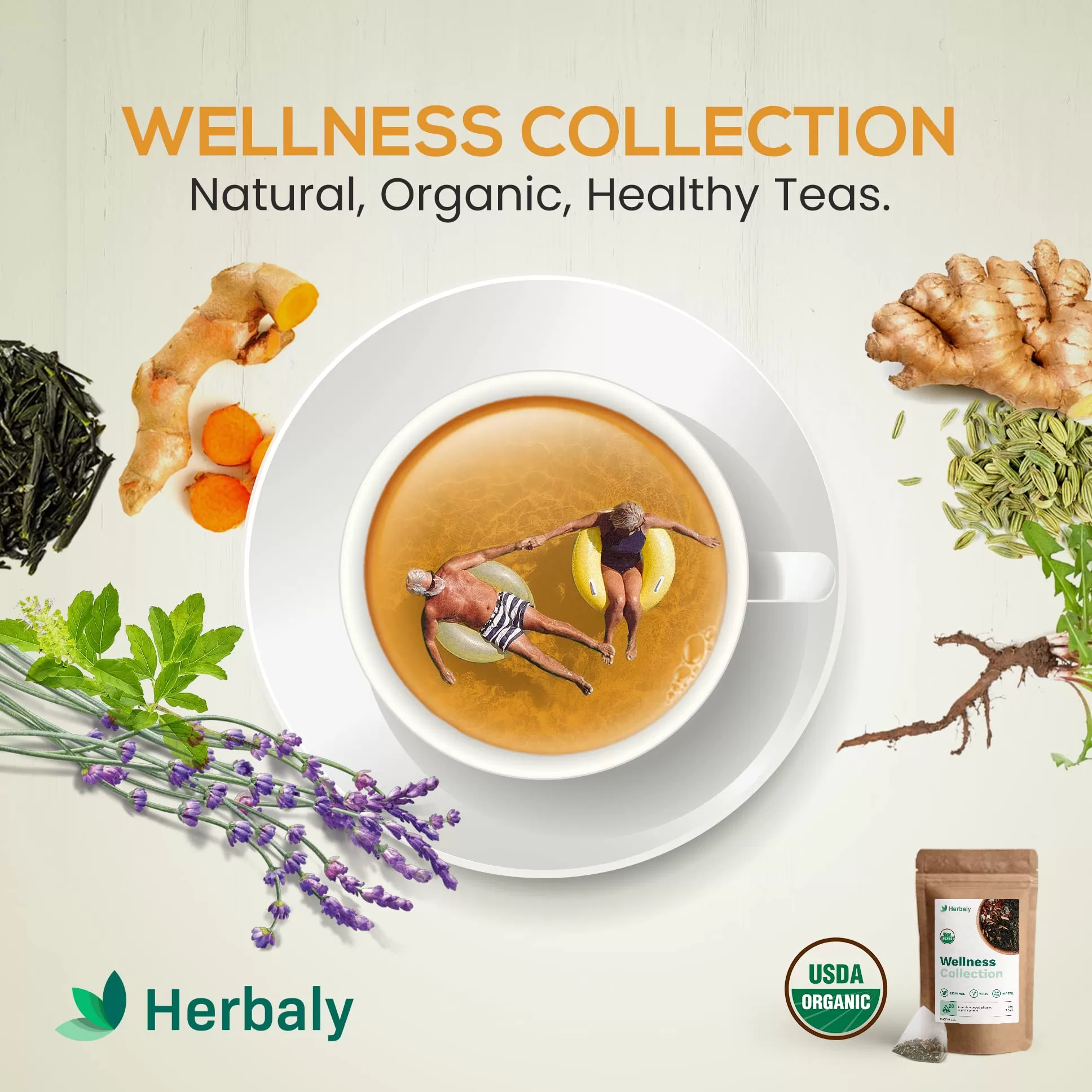 Herbaly Wellness Collection Organic Herbal Ginger Tea, 70 g, 28 Count Bag (Pack of 1)