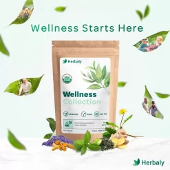 Herbaly Wellness Collection Organic Herbal Ginger Tea, 70 g, 28 Count Bag (Pack of 1)