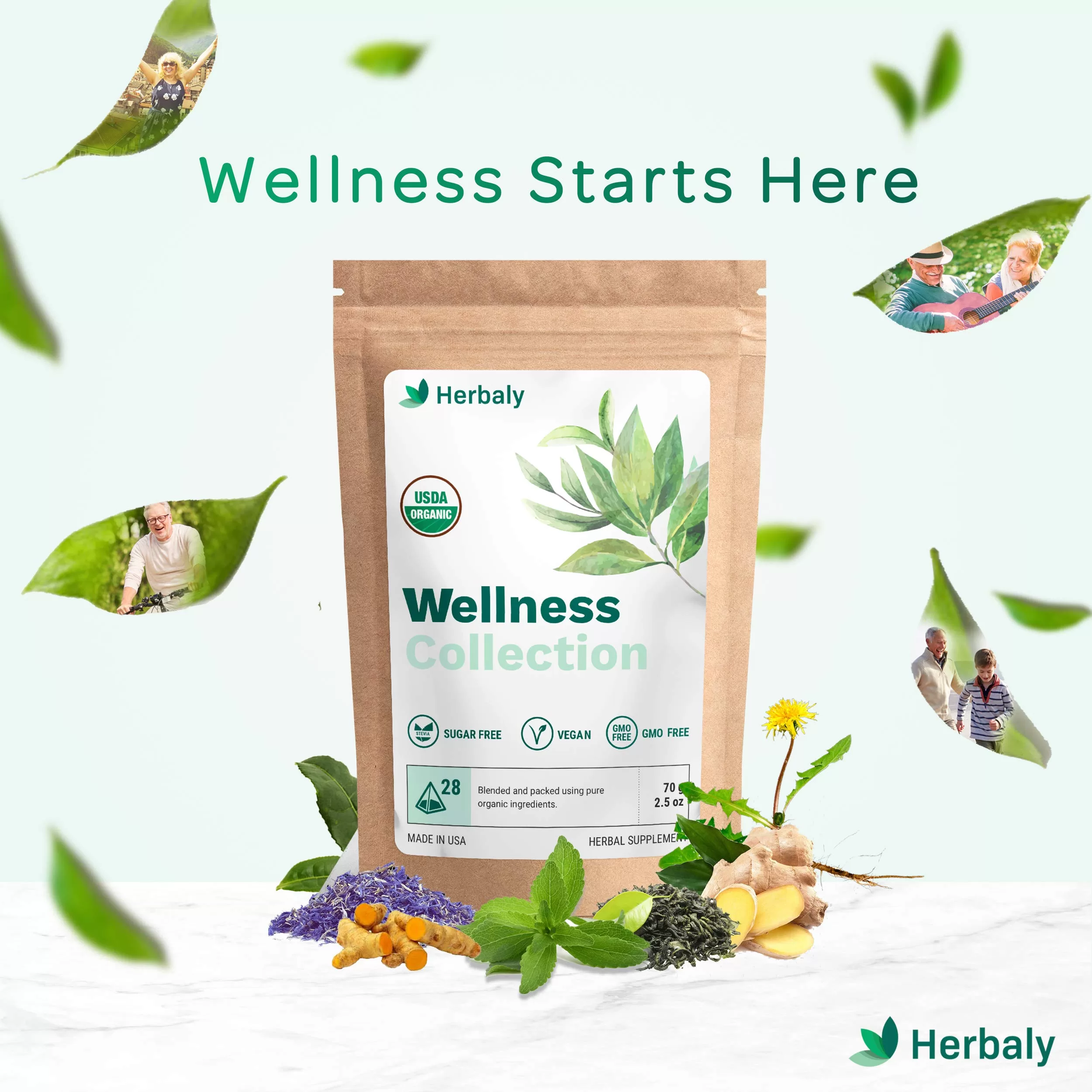 Herbaly Wellness Collection Organic Herbal Ginger Tea, 70 g, 28 Count Bag (Pack of 1)