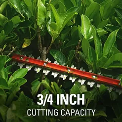 Greenworks 24V 22