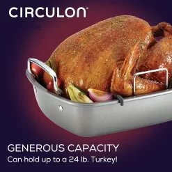 Circulon Nonstick Roasting Pan / Roaster with Rack - 17 Inch x 13 Inch, Gray