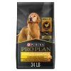 Purina Pro Plan Completed Essentials for Adult Dogs Chicken Rice, 34 lb Bag