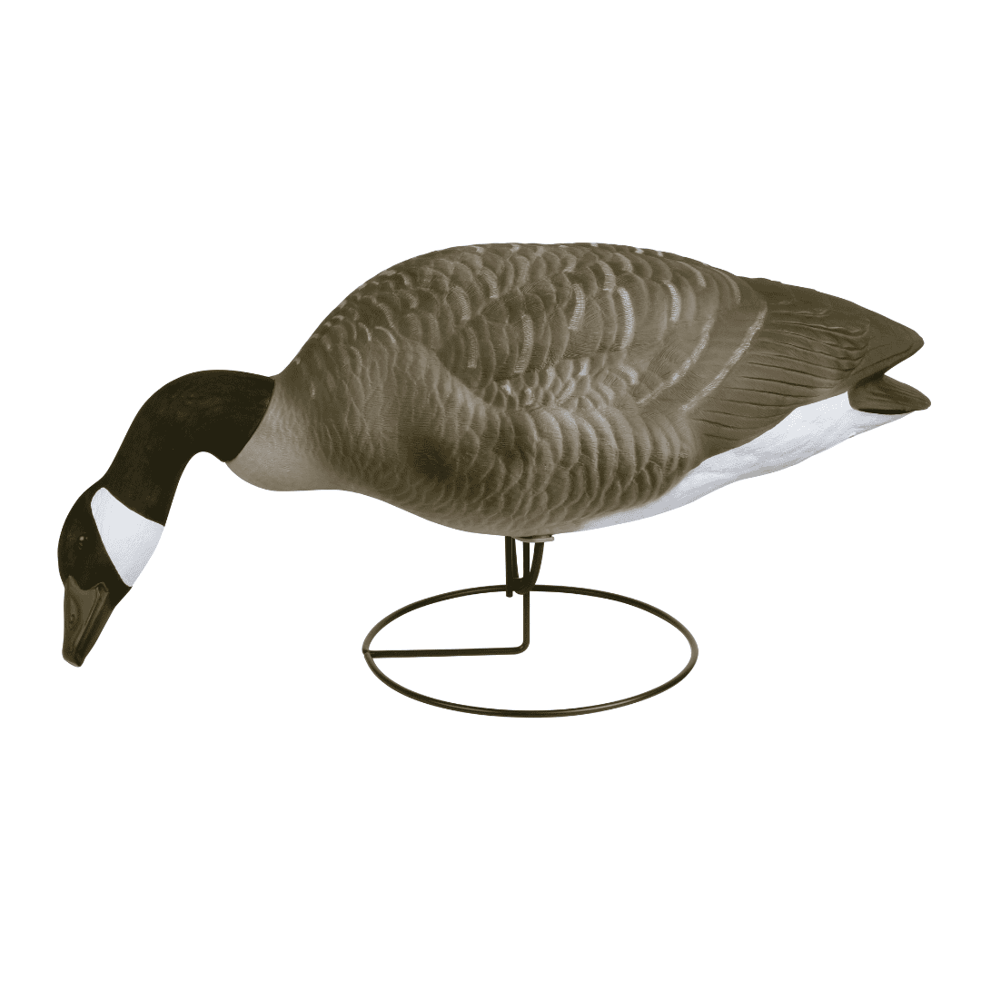 Flambeau Outdoors, 8990FBU, Storm Front, Full Body Canada Standard, Full Size, Goose Decoys, 6 Pack, 24.5 pounds