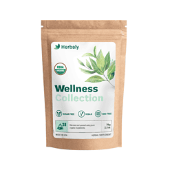 Herbaly Wellness Collection Organic Herbal Ginger Tea, 70 g, 28 Count Bag (Pack of 1)