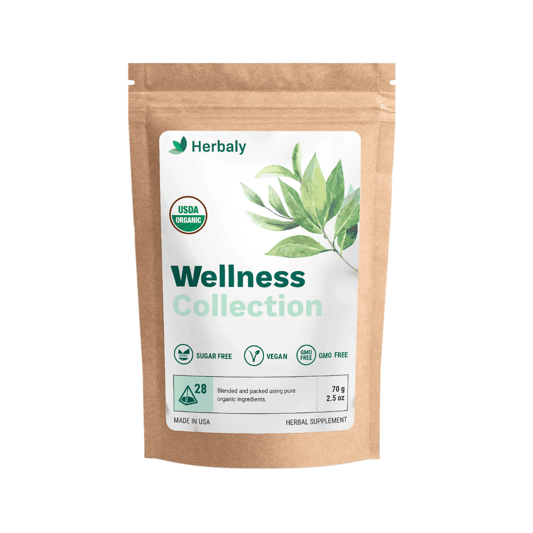 Herbaly Wellness Collection Organic Herbal Ginger Tea, 70 g, 28 Count Bag (Pack of 1)