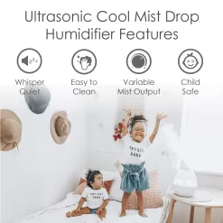 Crane 1-Gallons Tabletop Cool Mist Humidifier (For Rooms Up To 500-sq ft)