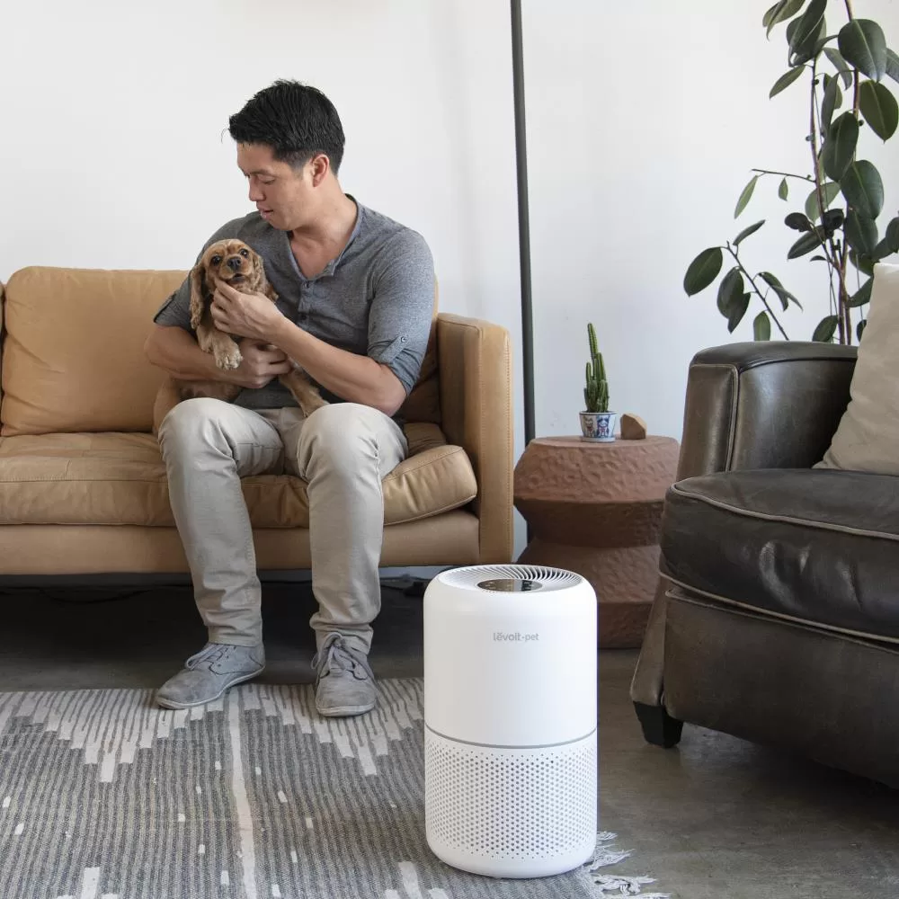 Levoit 3-Speed White True HEPA Air Purifier (Covers: 219-sq ft)