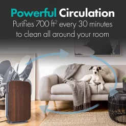 Alen BreatheSmart Flex 4-Speed Ionic Brown True HEPA Air Purifier ENERGY STAR (Covers: 700-sq ft)