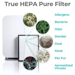 Alen BreatheSmart Flex 4-Speed Ionic Gray True HEPA Air Purifier ENERGY STAR (Covers: 700-sq ft)