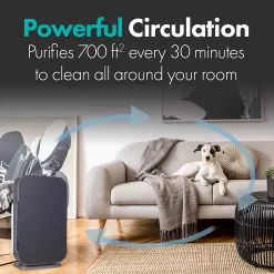 Alen BreatheSmart Flex 4-Speed Ionic Gray True HEPA Air Purifier ENERGY STAR (Covers: 700-sq ft)